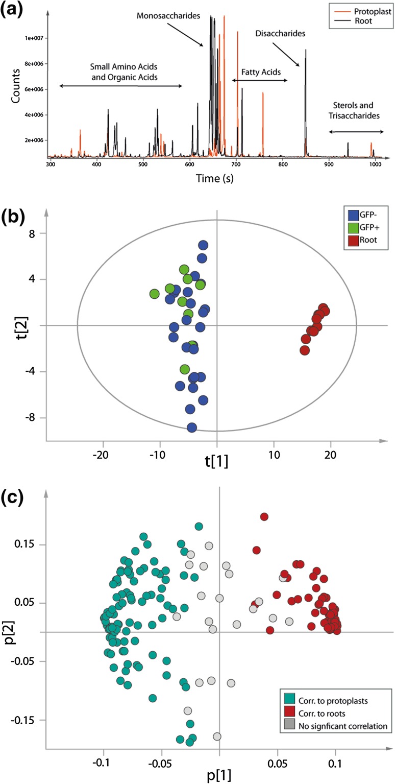 Fig. 3