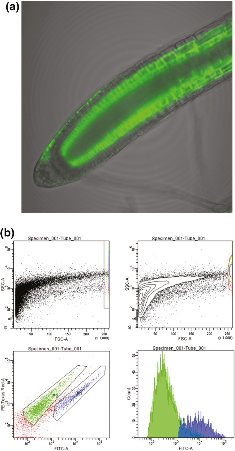 Fig. 2