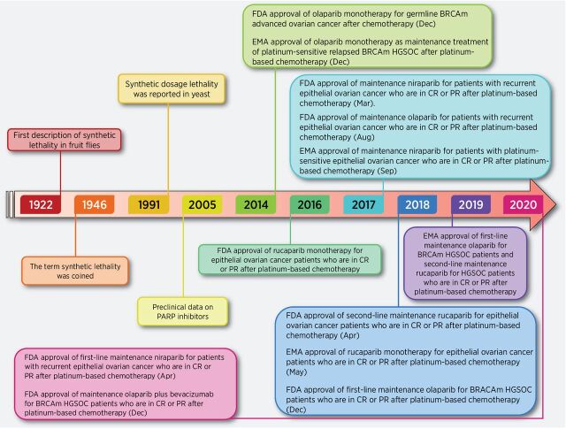 Figure 2. Timeline of landmark synthetic lethality advances in ovarian cancer. Several expanded concepts of synthetic lethality have been constantly proposed and studied. After Ashworth and Helleday demonstrated synthetic lethality of PARPi in BRCA1/2-mutated (BRCAm) tumors, several PARPi have been clinically tested for first-line, second-line, and maintenance therapy in ovarian cancer. EMA, European Medicines Agency; CR, complete response; PR, partial response.