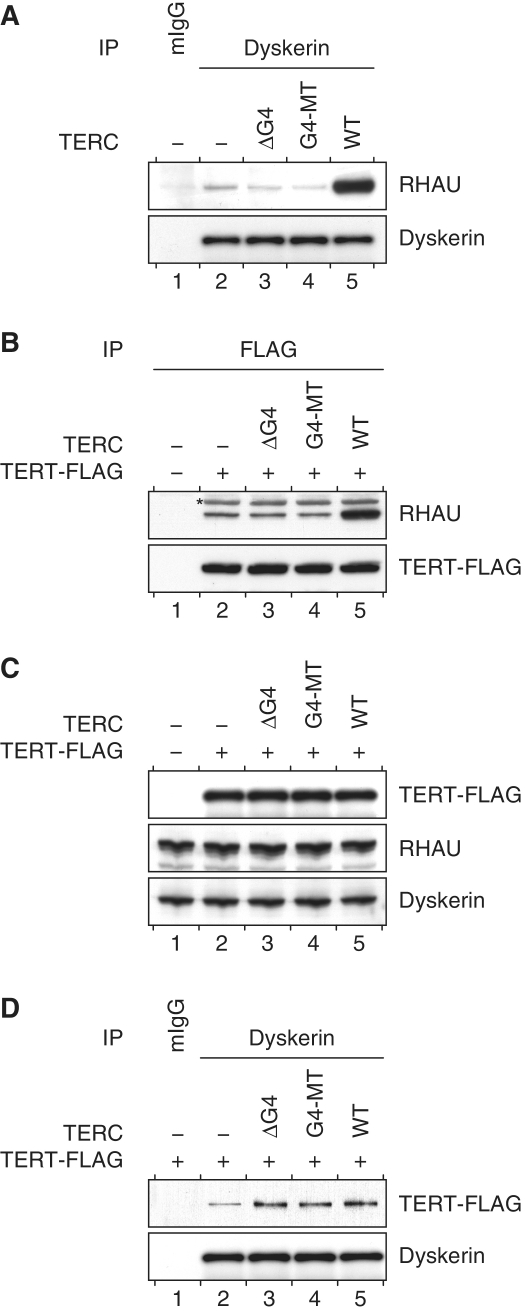 Figure 5.