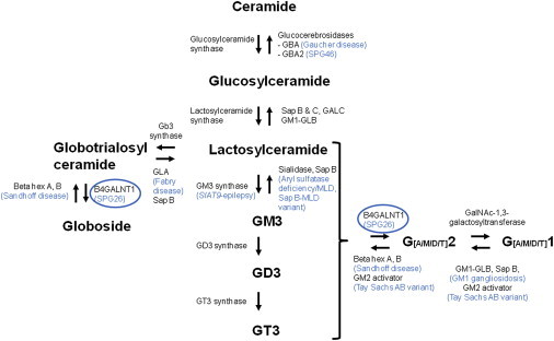 Figure 3