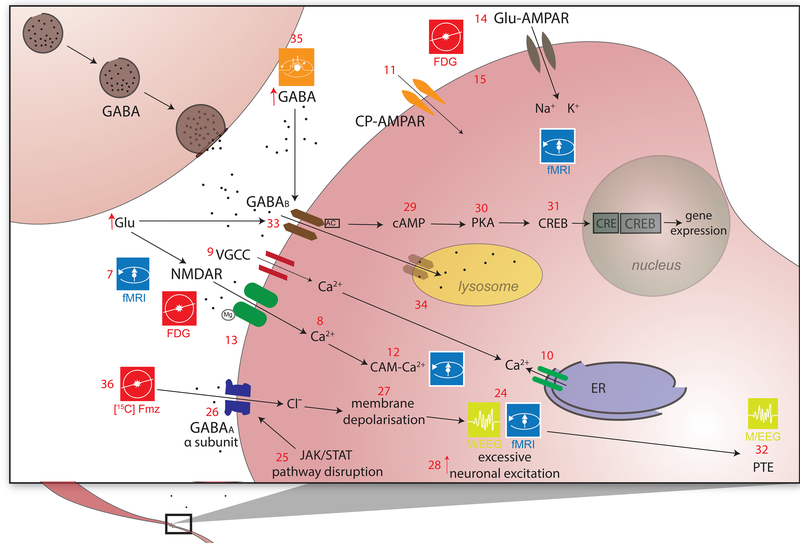 Figure 3a,b.