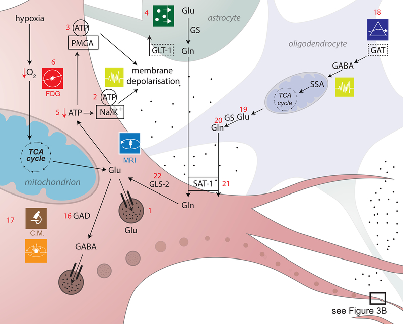 Figure 3a,b.