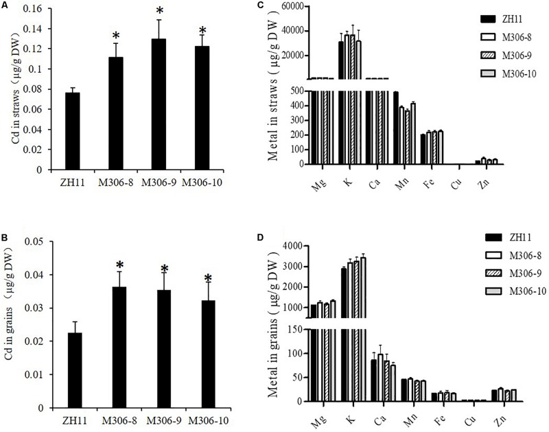 FIGURE 6