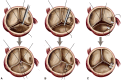 Figure 2