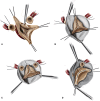 Figure 5