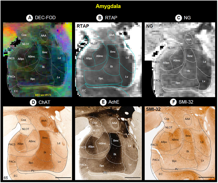 Fig. 12