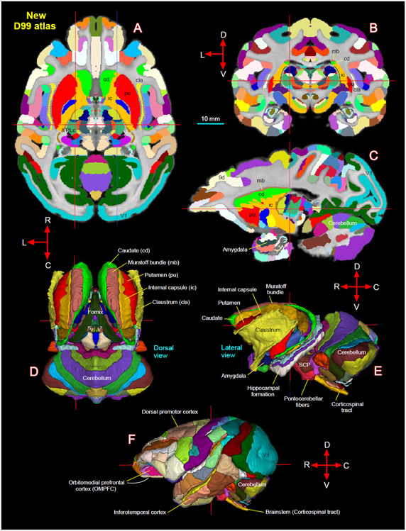 Fig. 15