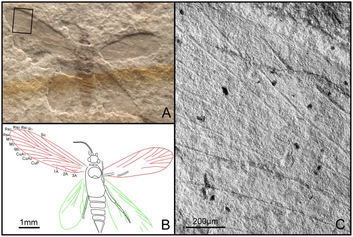 Figure 12