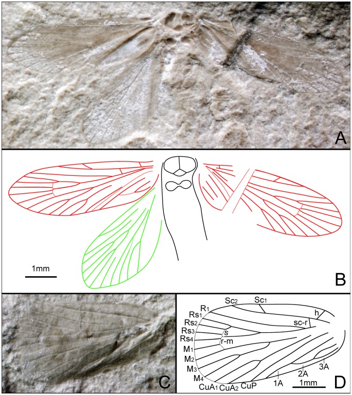 Figure 16