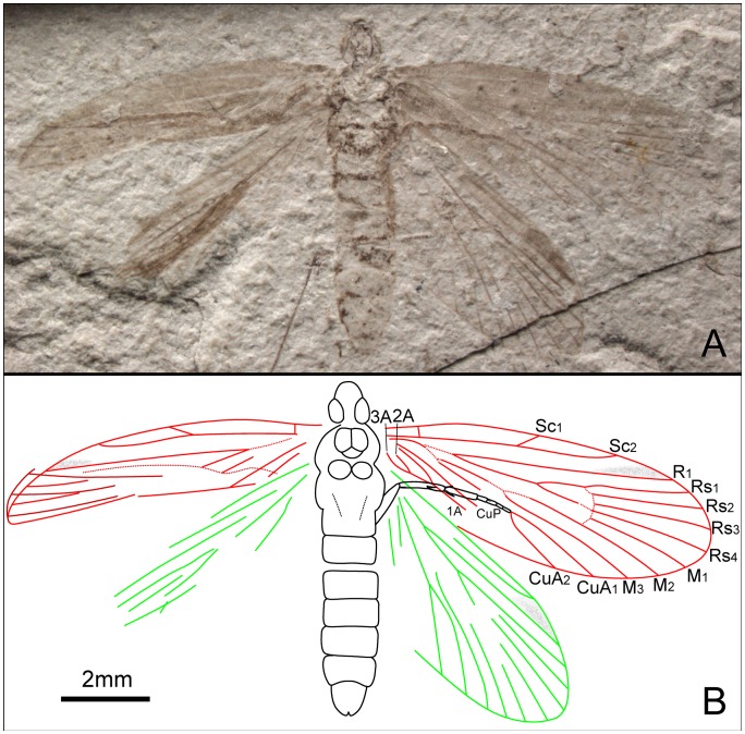 Figure 11