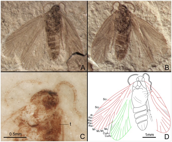 Figure 17