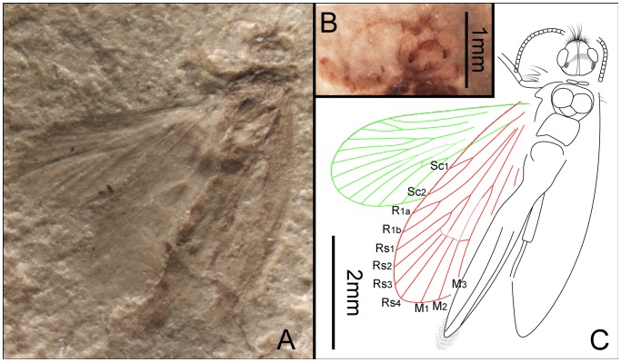 Figure 10