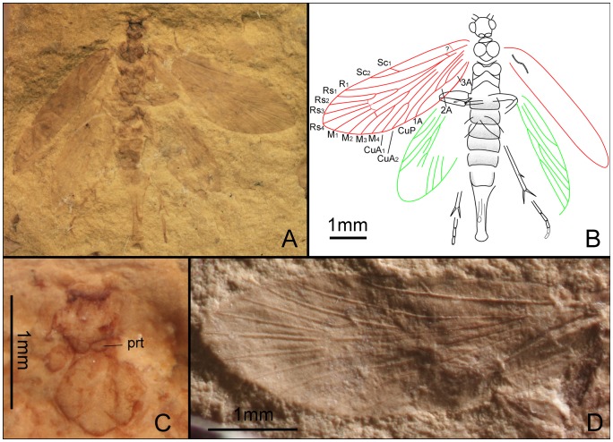 Figure 15