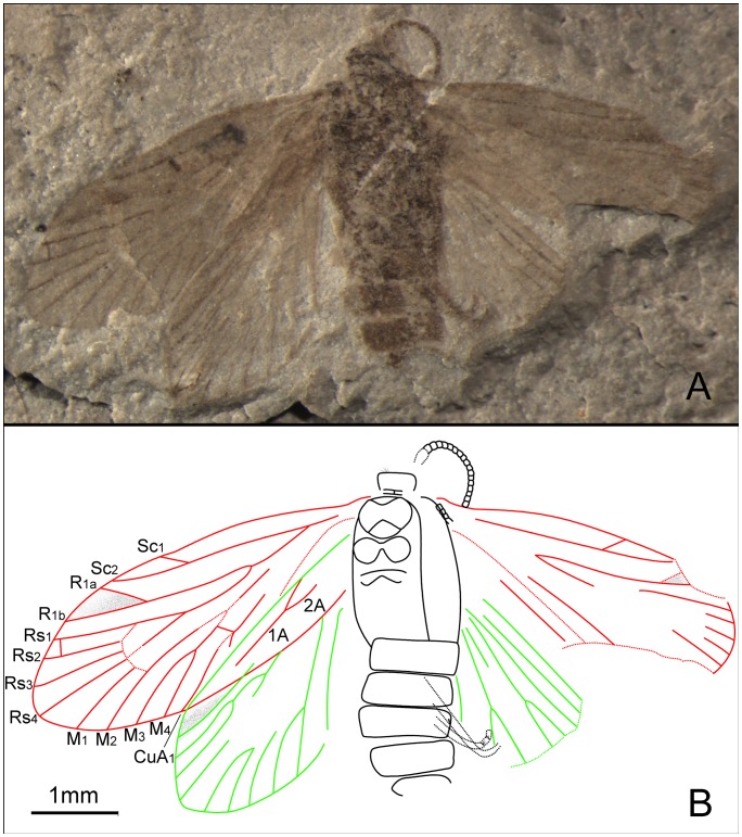 Figure 20