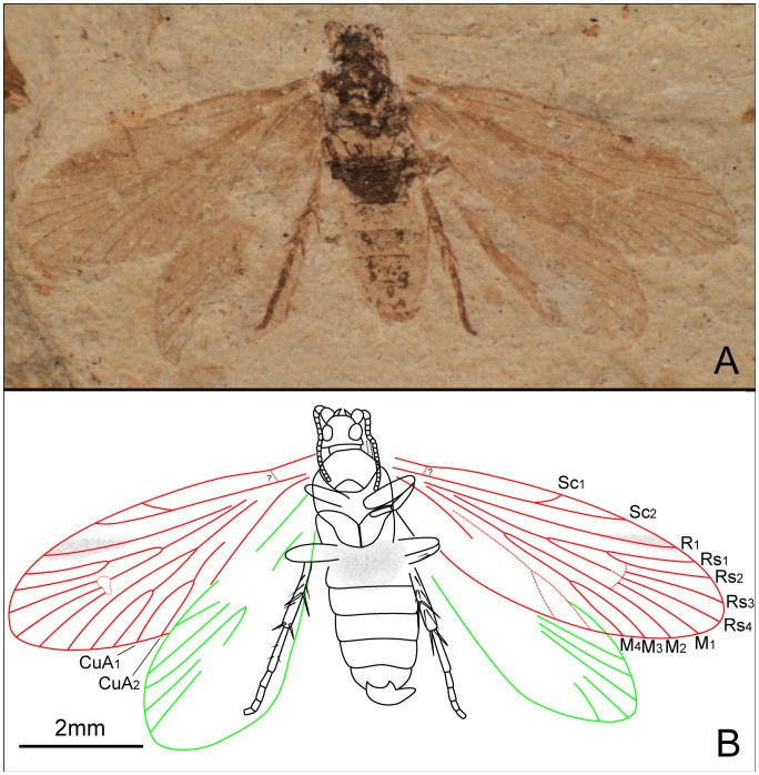 Figure 13