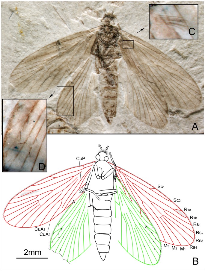 Figure 5