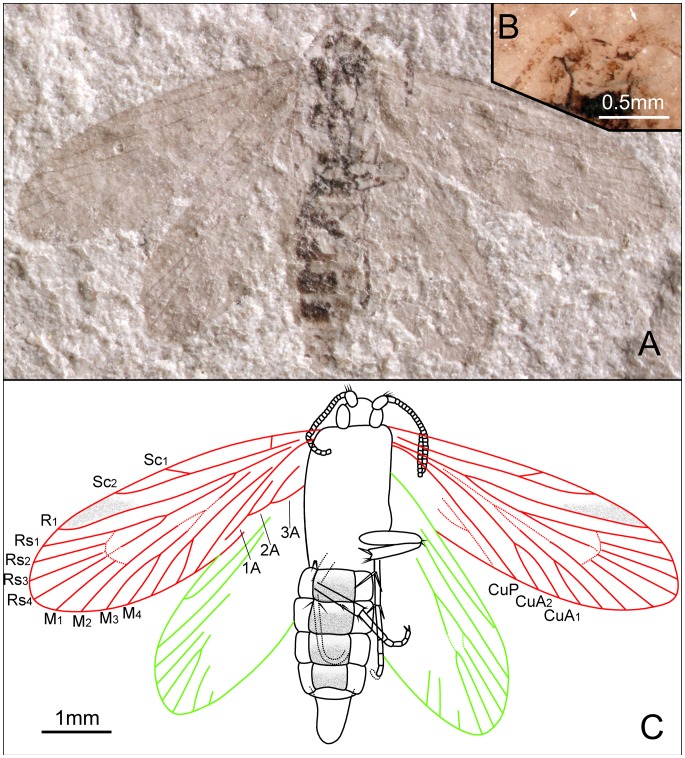 Figure 14