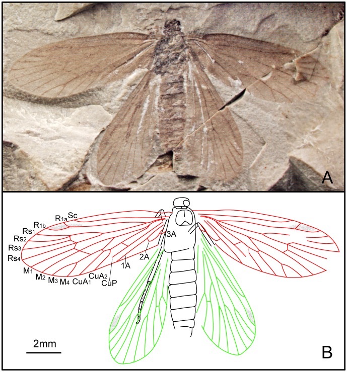 Figure 18