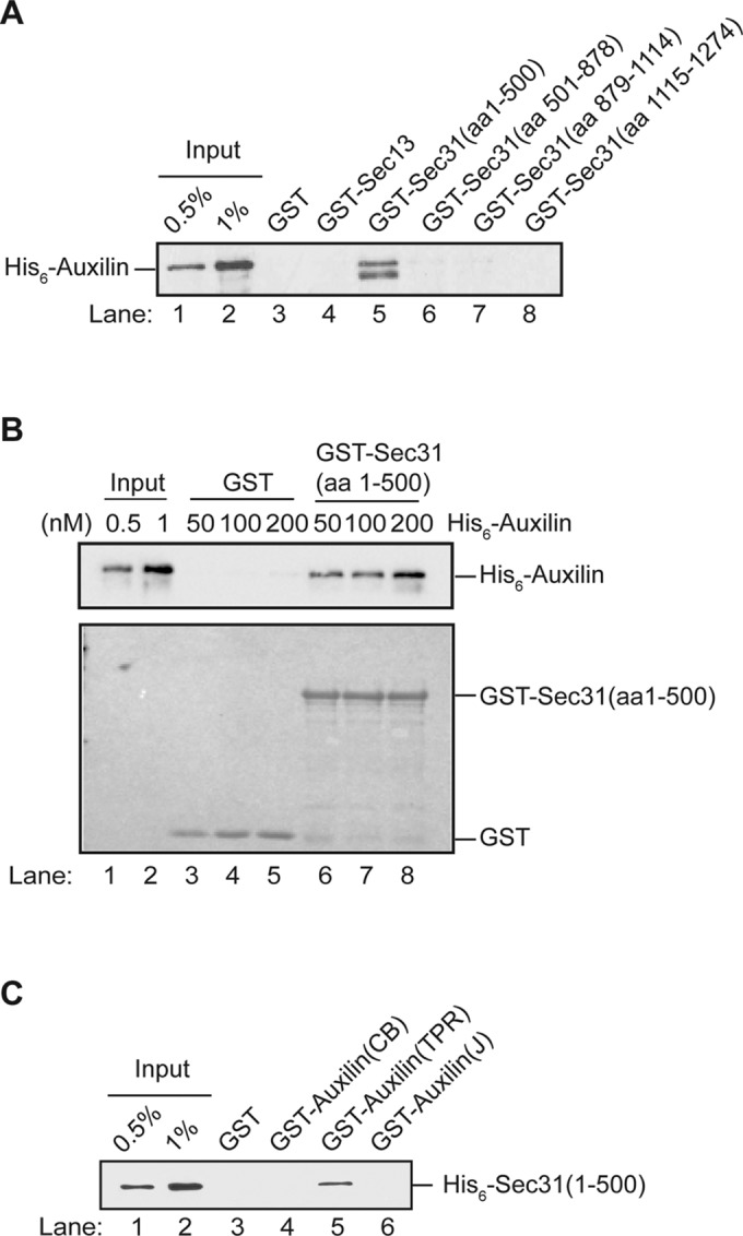 FIGURE 3: