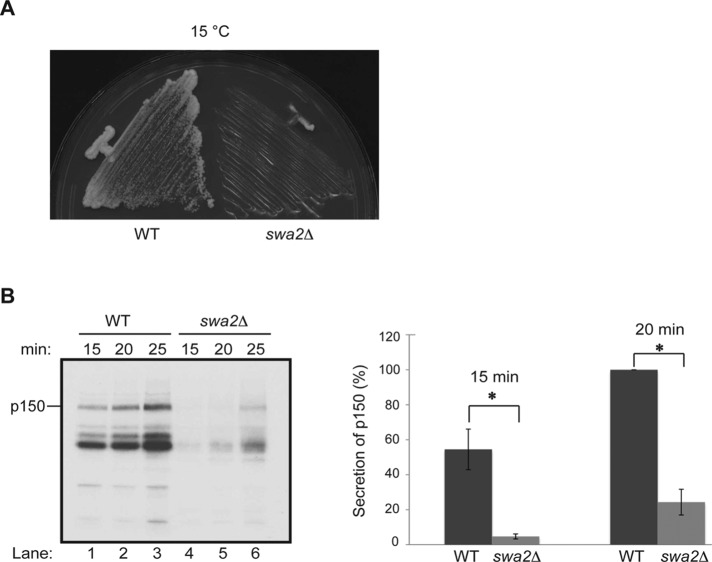 FIGURE 5: