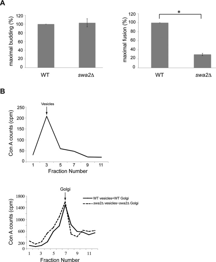 FIGURE 7: