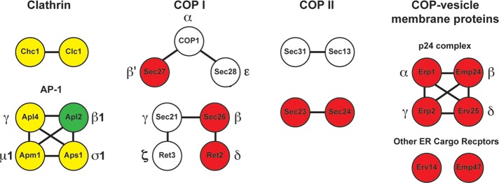 FIGURE 1: