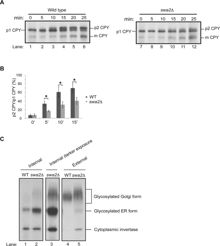 FIGURE 6: