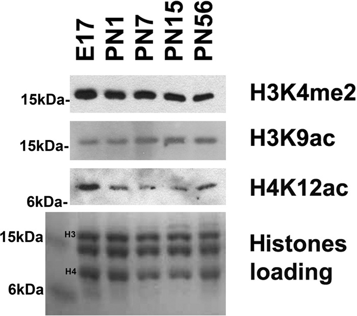 FIGURE 14.