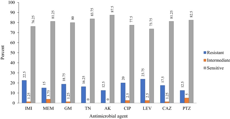 Fig. 1