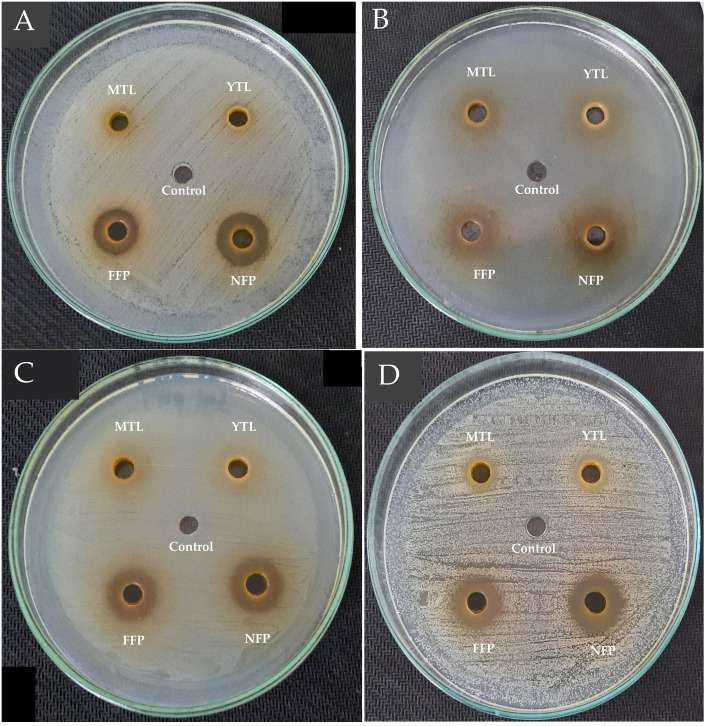 Fig 2