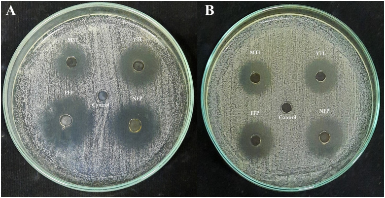 Fig 4