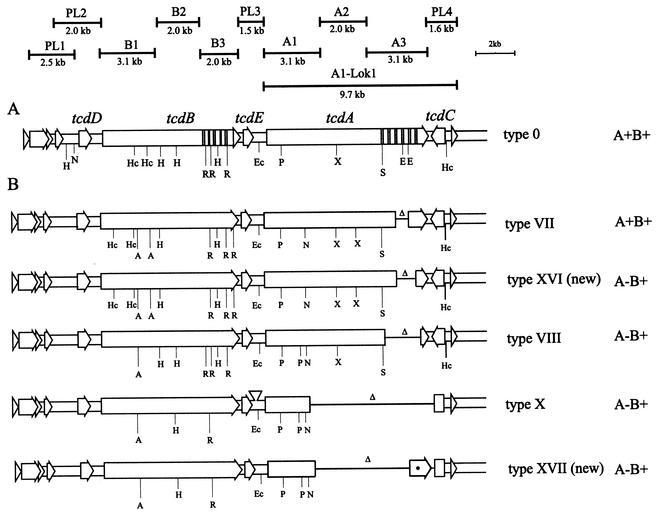 FIG. 3.