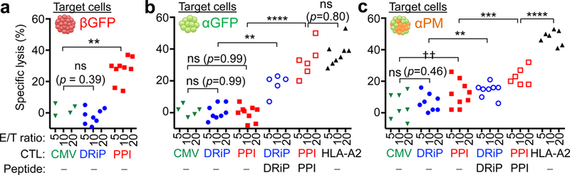 Figure 5: