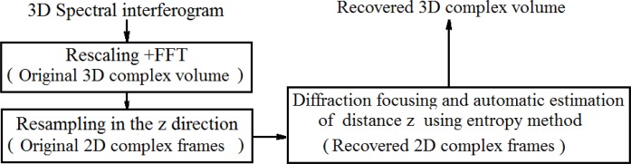 Fig. 3