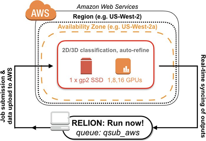 Figure 3 -