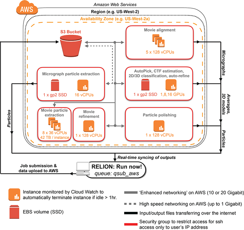 Figure 1 -