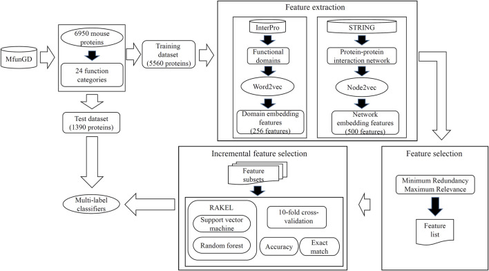 FIGURE 2