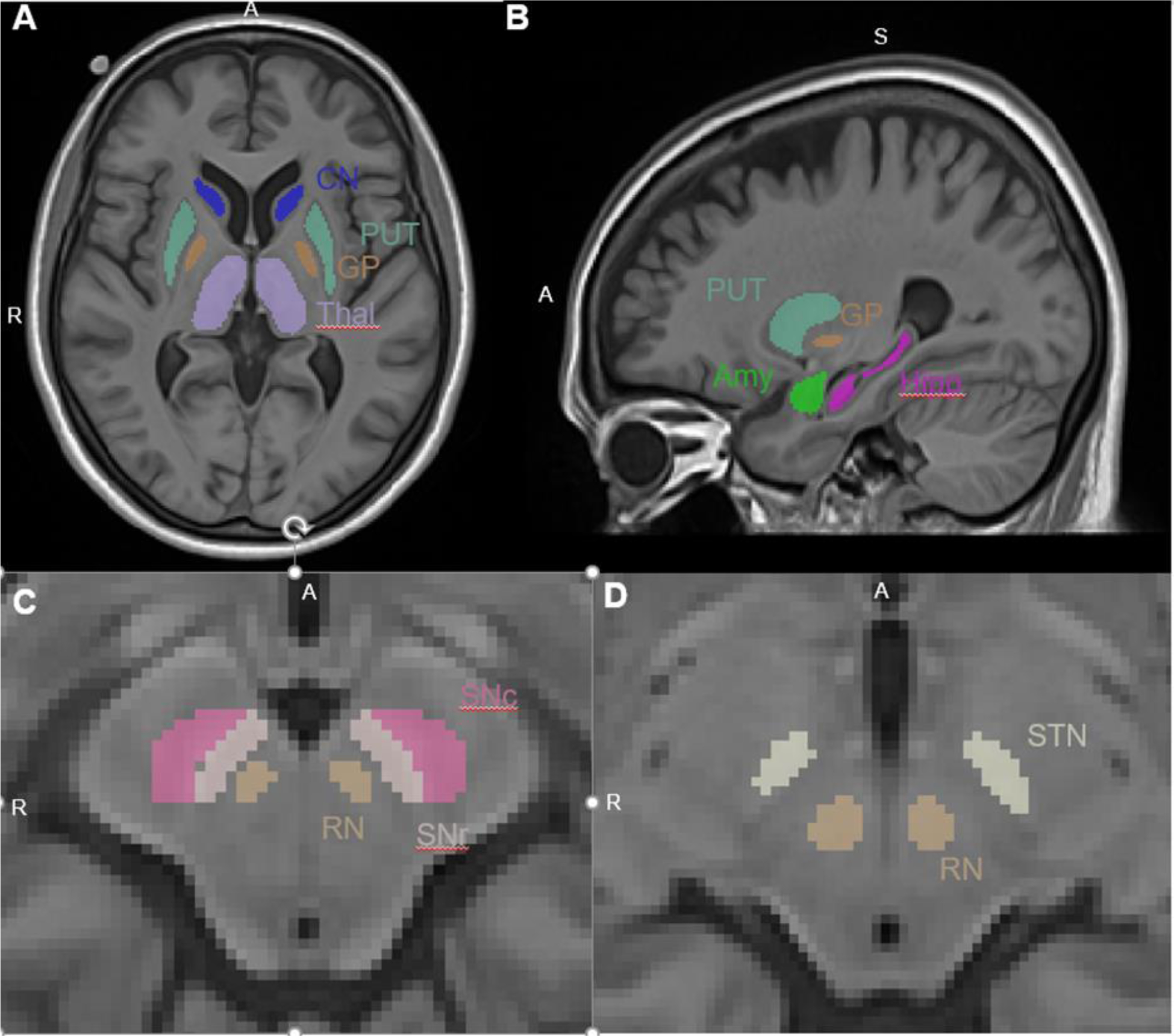 Fig 2: