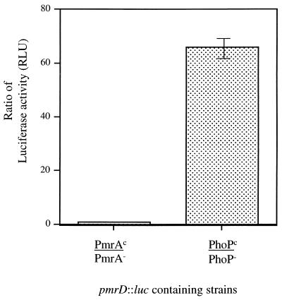 FIG. 6