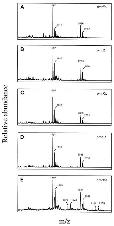 FIG. 7