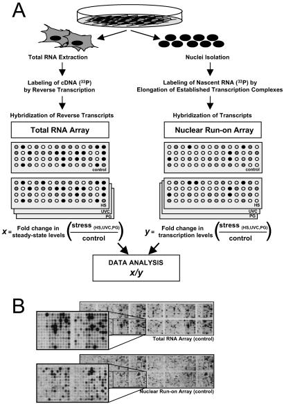 Fig 1.