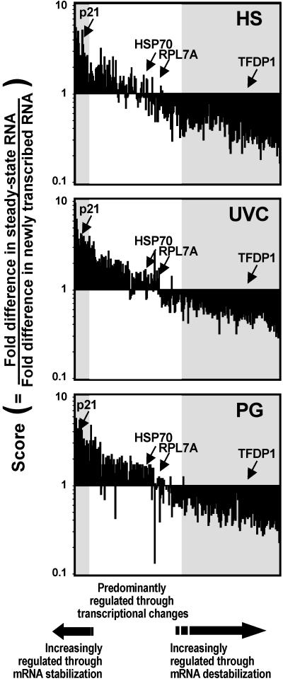 Fig 2.