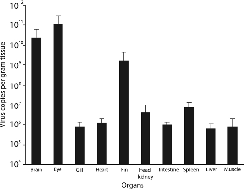 Fig. 3.