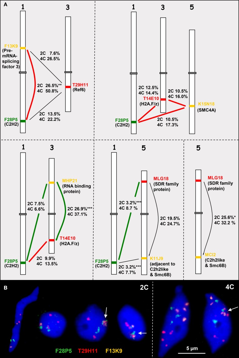 Figure 5