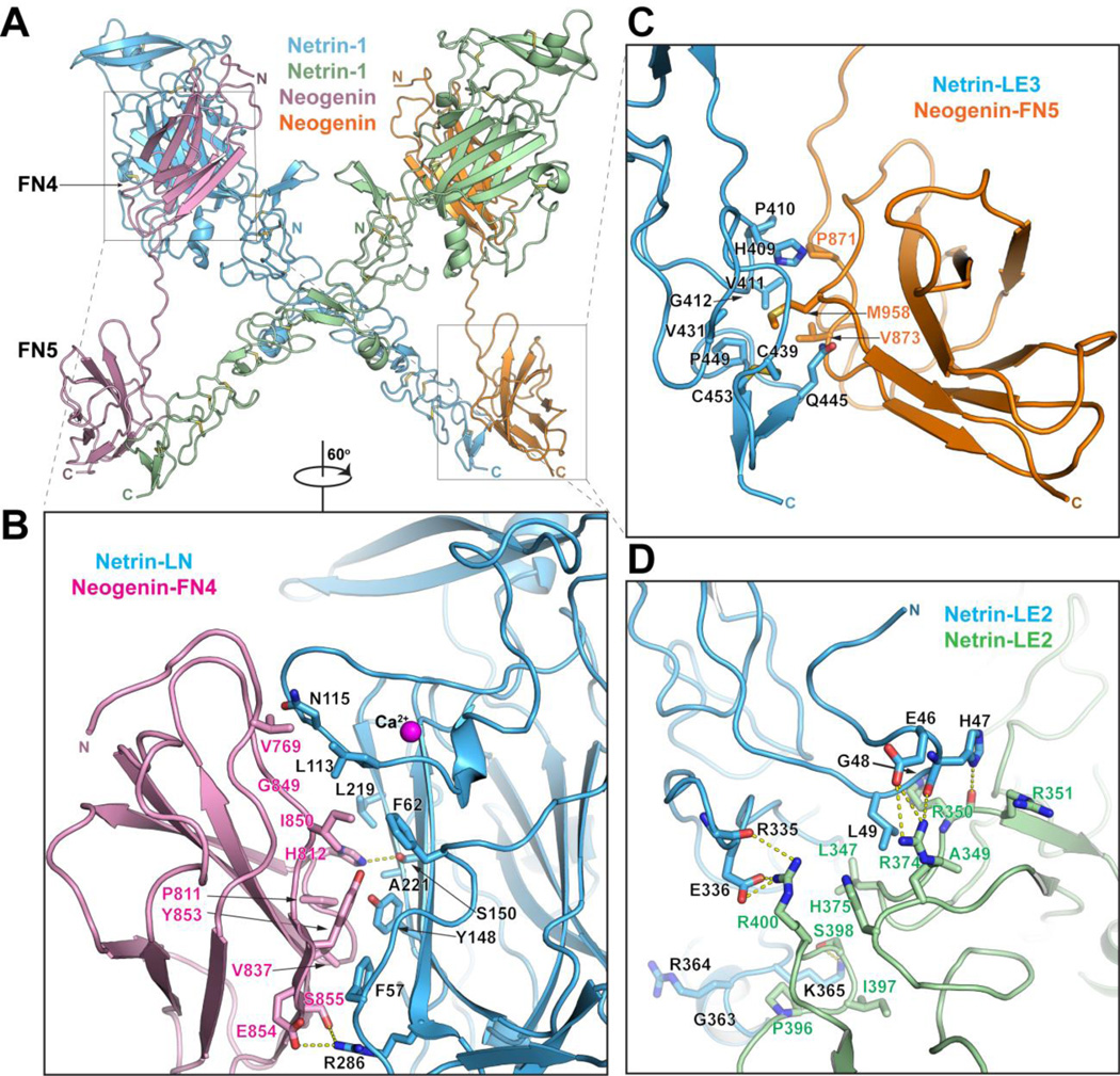 Fig. 3