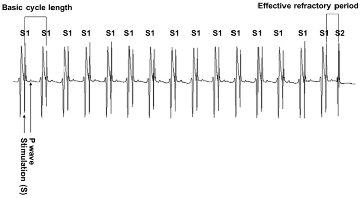 Figure 2.