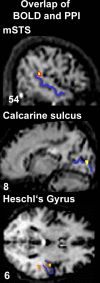 Figure 5.