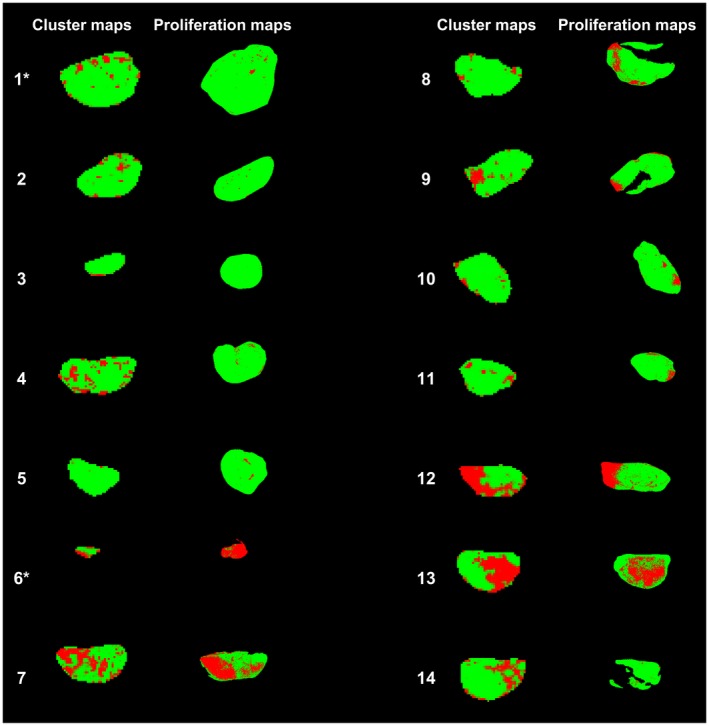 Figure 6