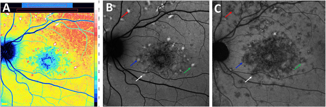 Fig. 9.